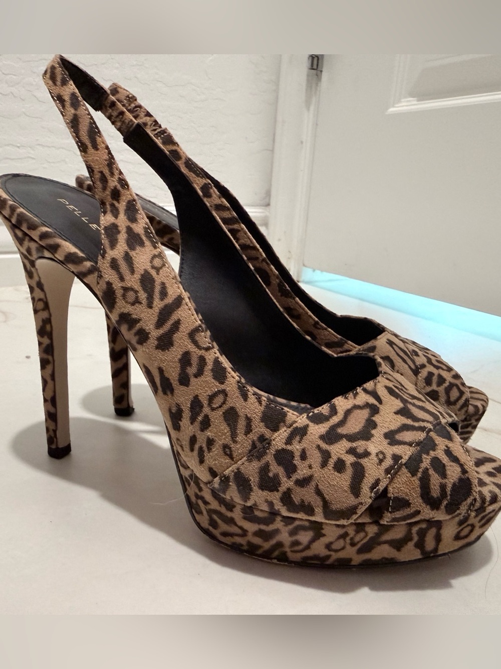 Pelle Moda - Picture 1 of 8